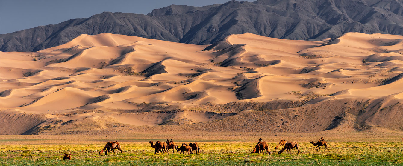 mongolia desert tour