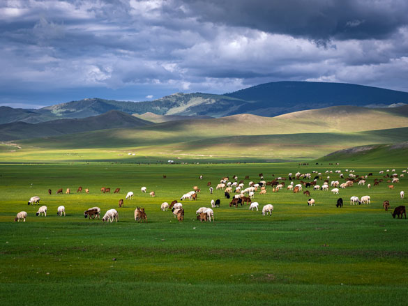 mongolian mountains