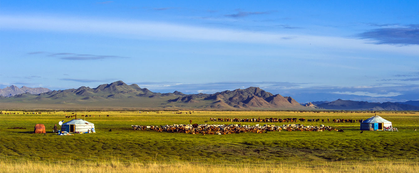 Mongolia-.jpg