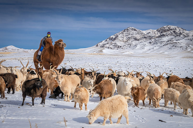 visit mongolia in winter